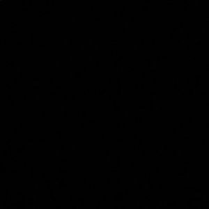 Meet your Posher, Rowan